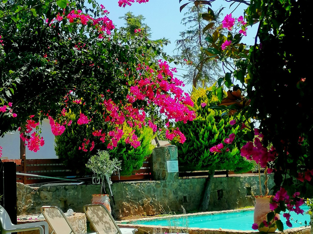 Rafaella Resort主图