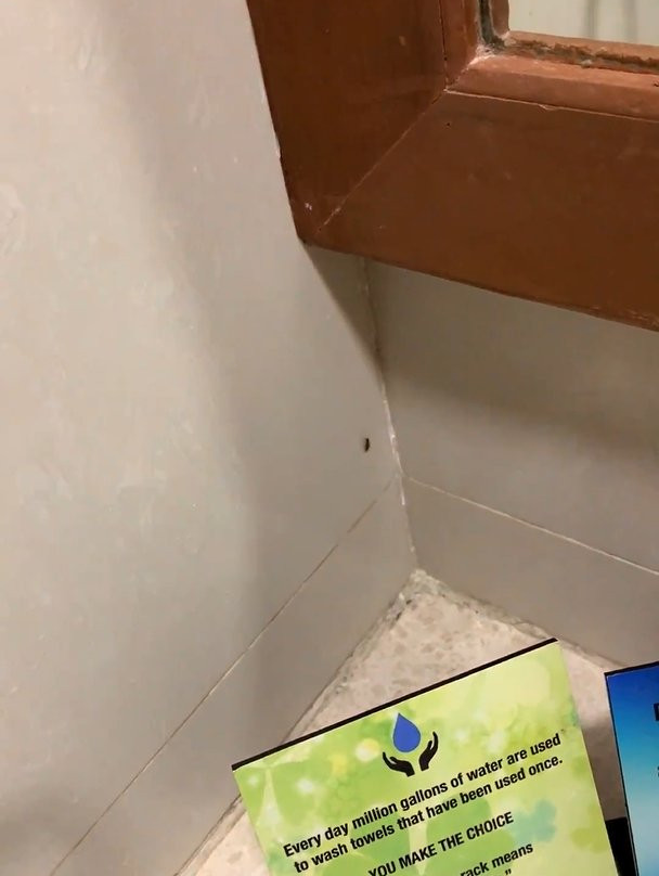 Raj Park Tirupati主图