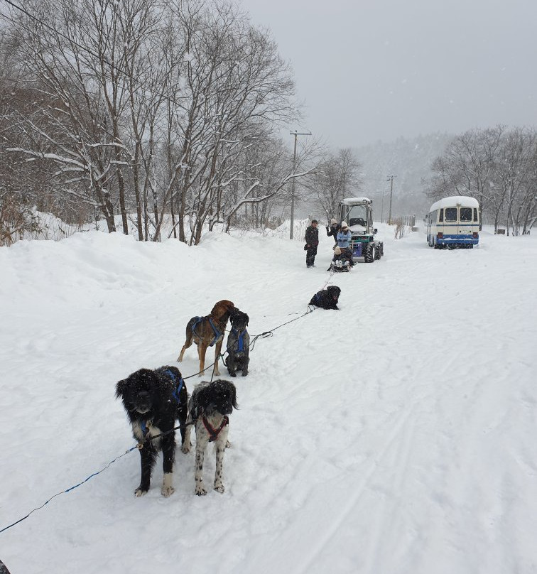 Hokkaido Adventure Tours - Day Tour-南富良野町必去景点