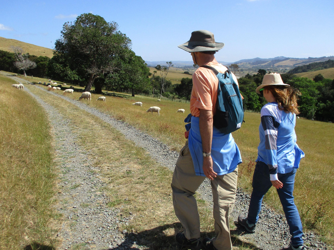 Wild Adventures New Zealand - Auckland Hiking Tours-奥克兰必去景点