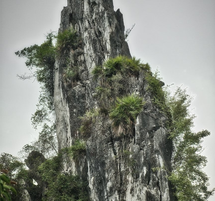 花花大世界 -南宁市必去景点