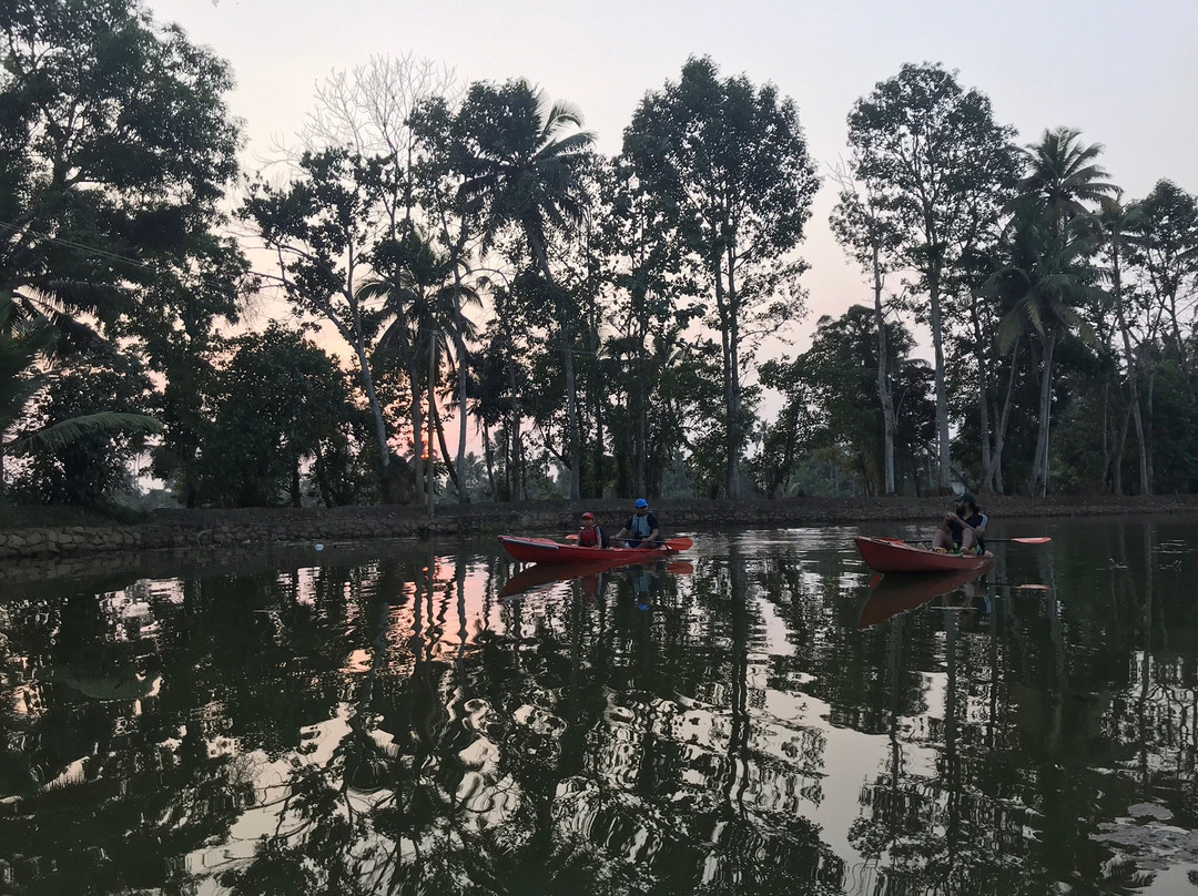Plunge Adventures景点图片