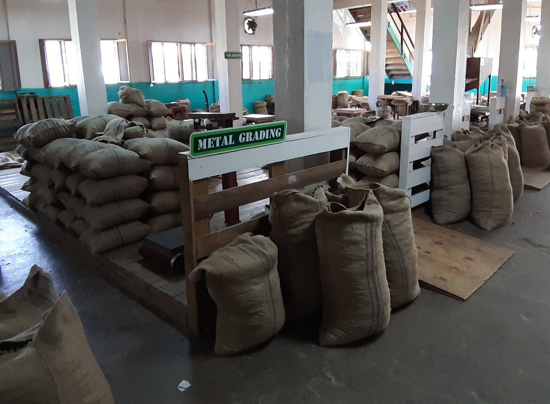 Zeyah Tours & Services-Morne Rouge必去景点