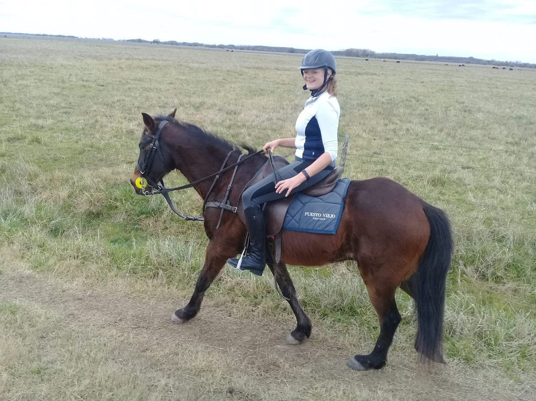 Caballos a la Par-布宜诺斯艾利斯必去景点