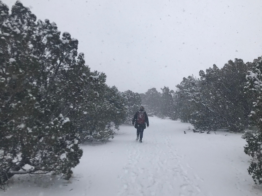 Red Mountain Trail-弗拉格斯塔夫必去景点