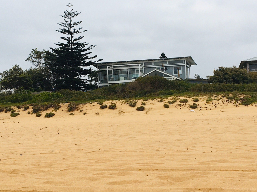 Avoca Beach-特里格尔必去景点