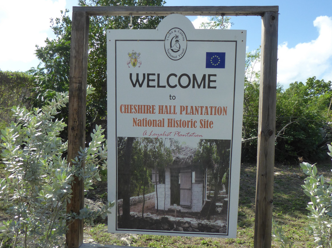 Cheshire Hall Plantation-普罗维登西亚莱斯必去景点