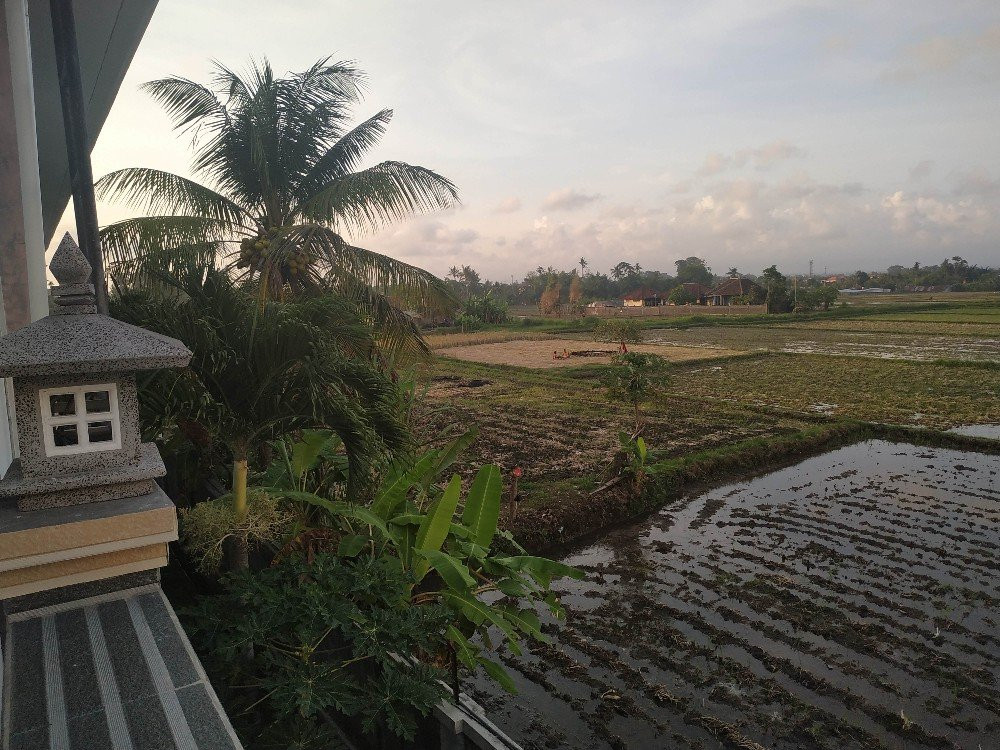 Dhyanapura City Hotel主图