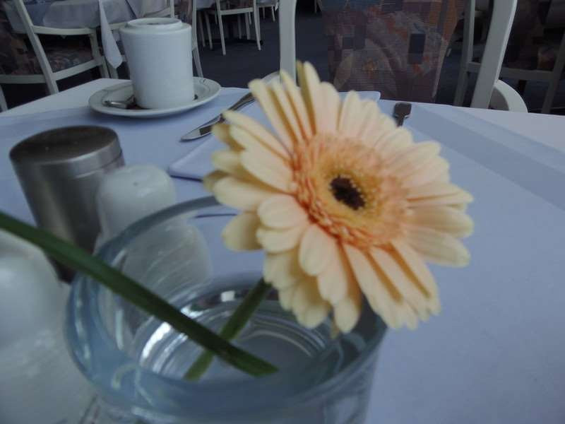 罗伊特林根弗斯滕霍夫酒店主图