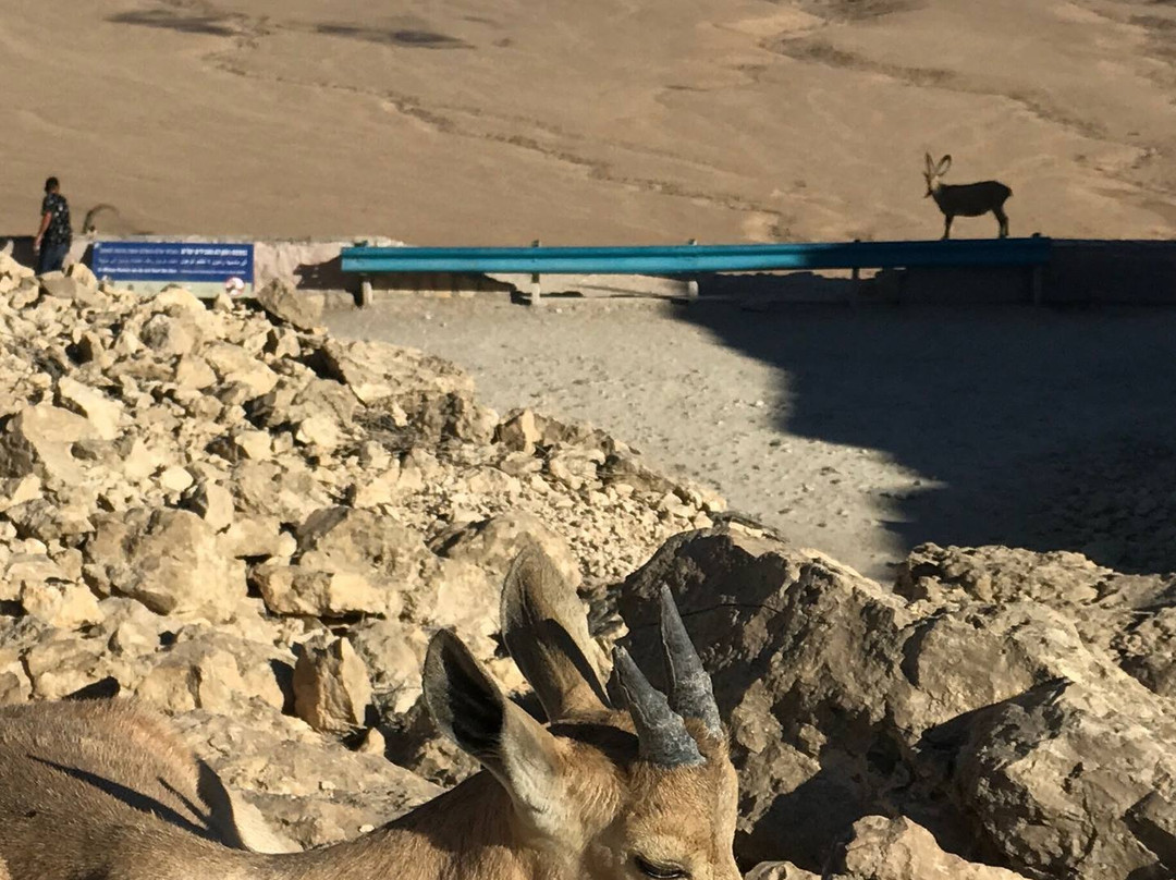 InnSense Bistro and Suites主图