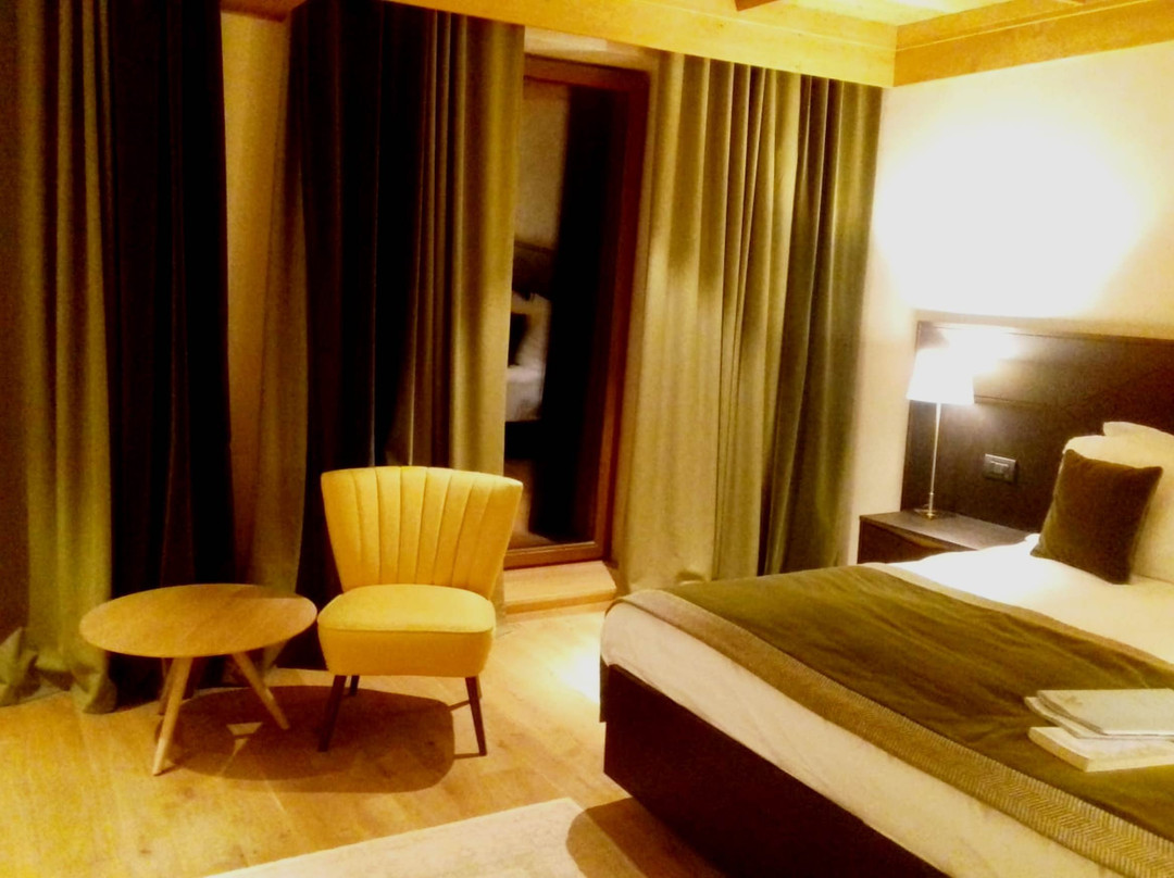 Ana Hotels Bradul Poiana Brașov主图