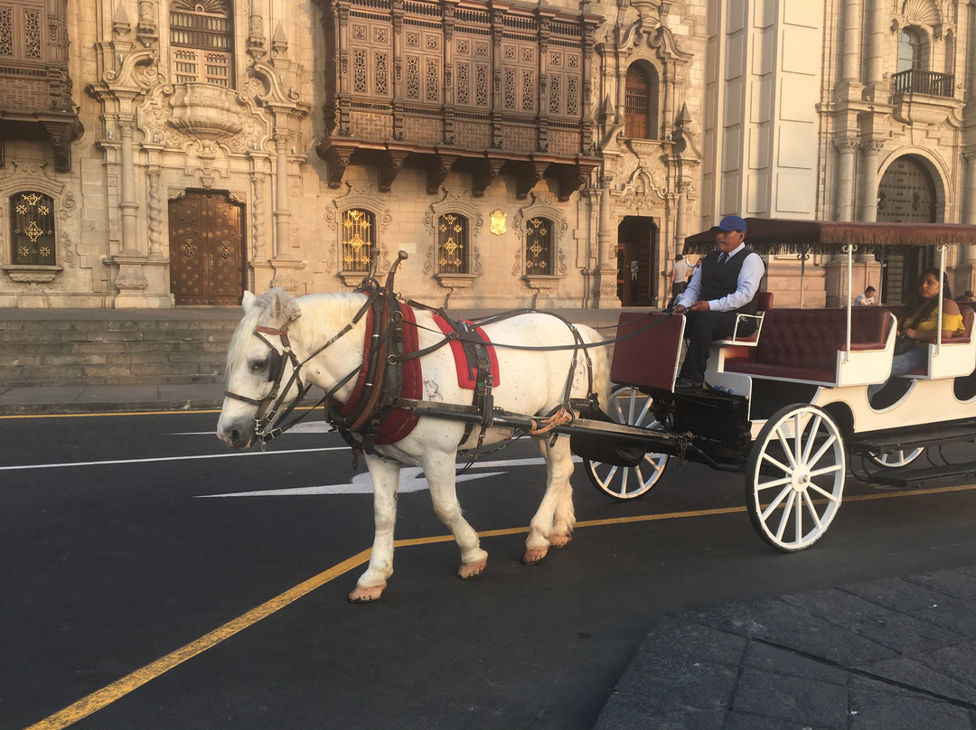 Lima Cabs & Private Tours-利马必去景点