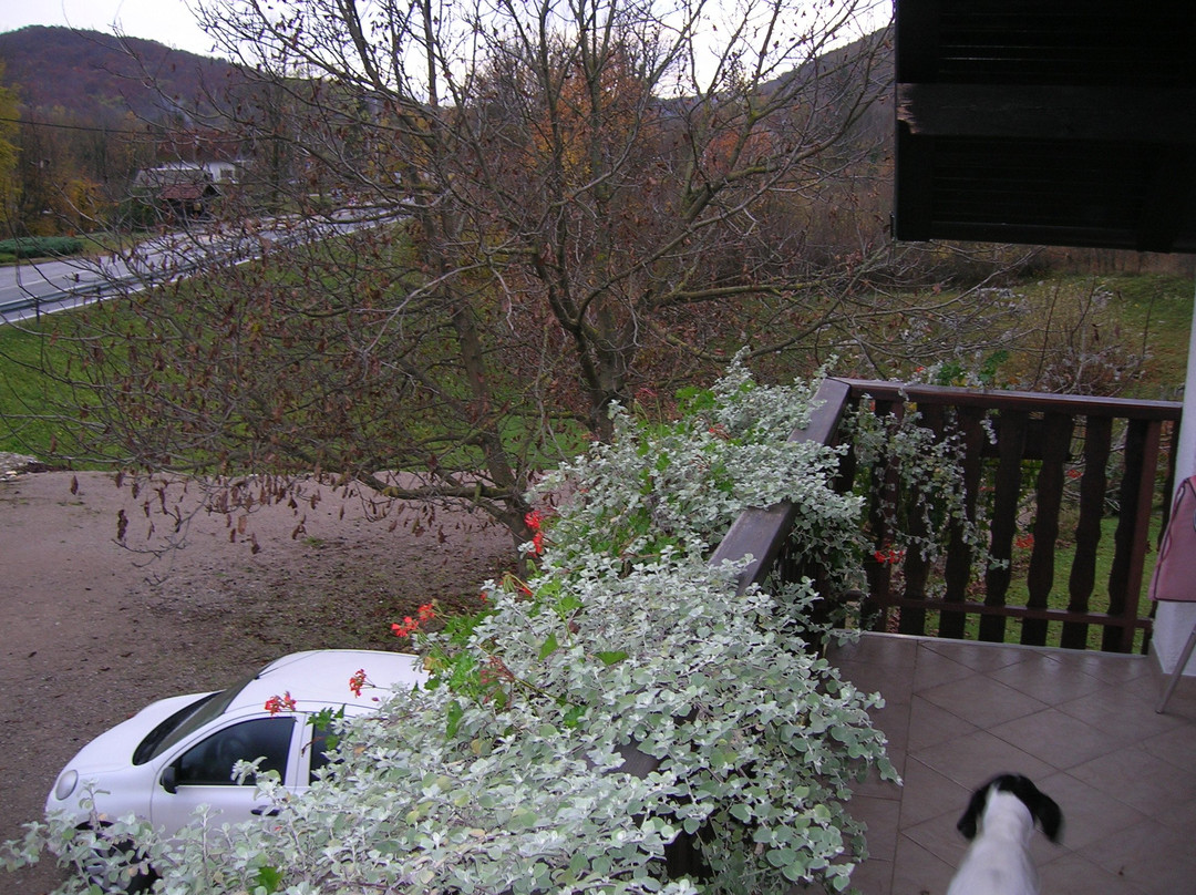 House Anamarija主图