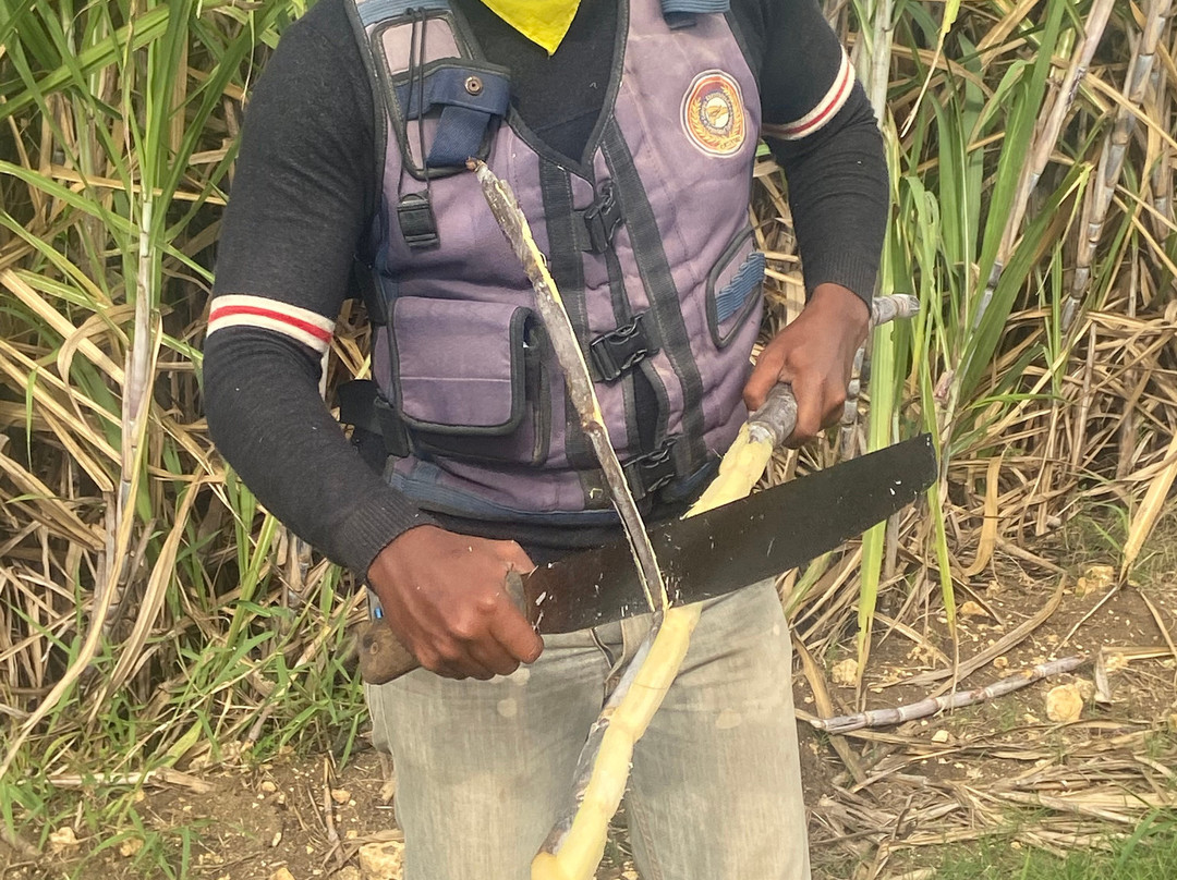 Crazy Wheels-拉罗马纳必去景点