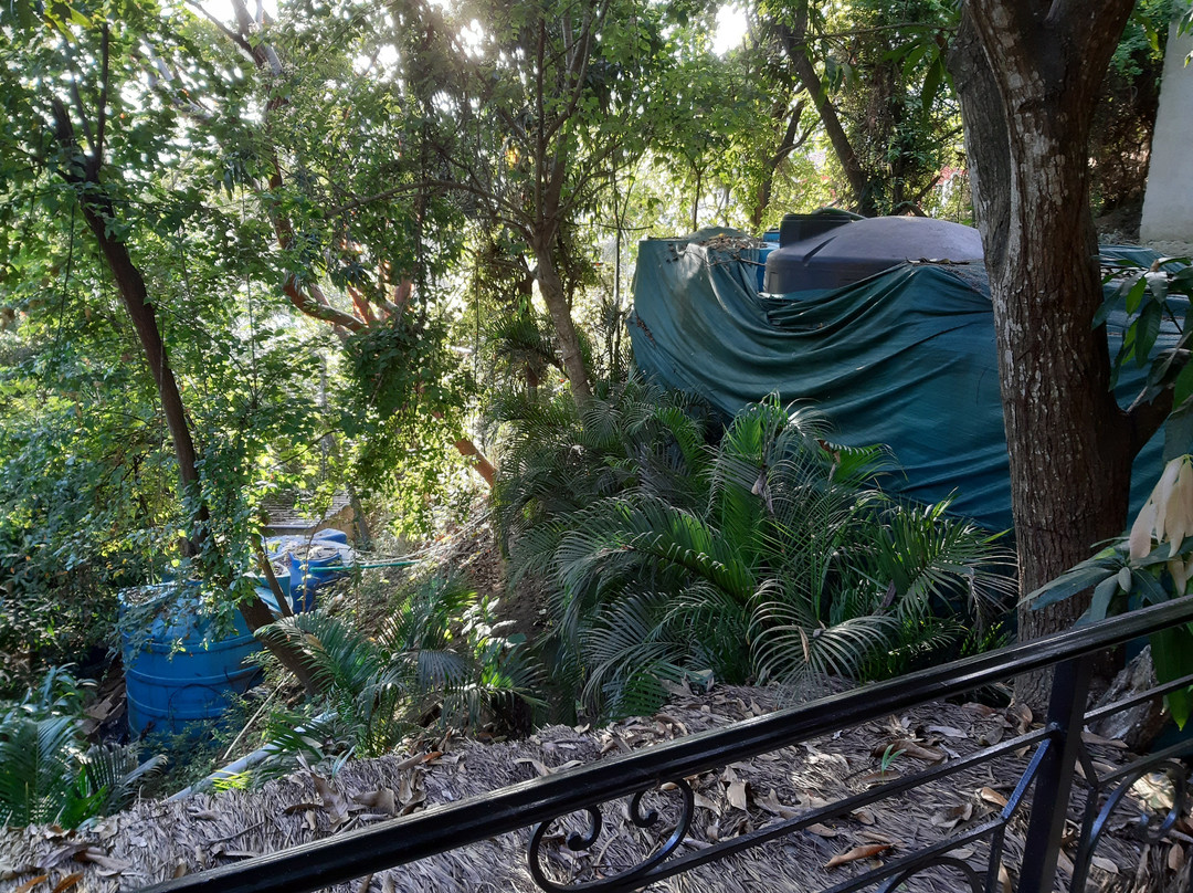 Amor Boutique Hotel主图