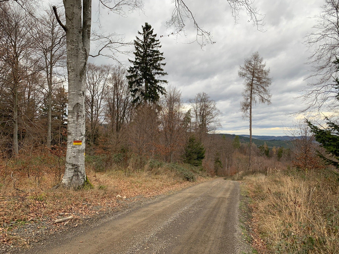 Naturpark Landseer Berge