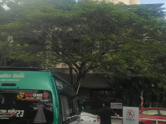 Phuket Wake Park-卡图必去景点