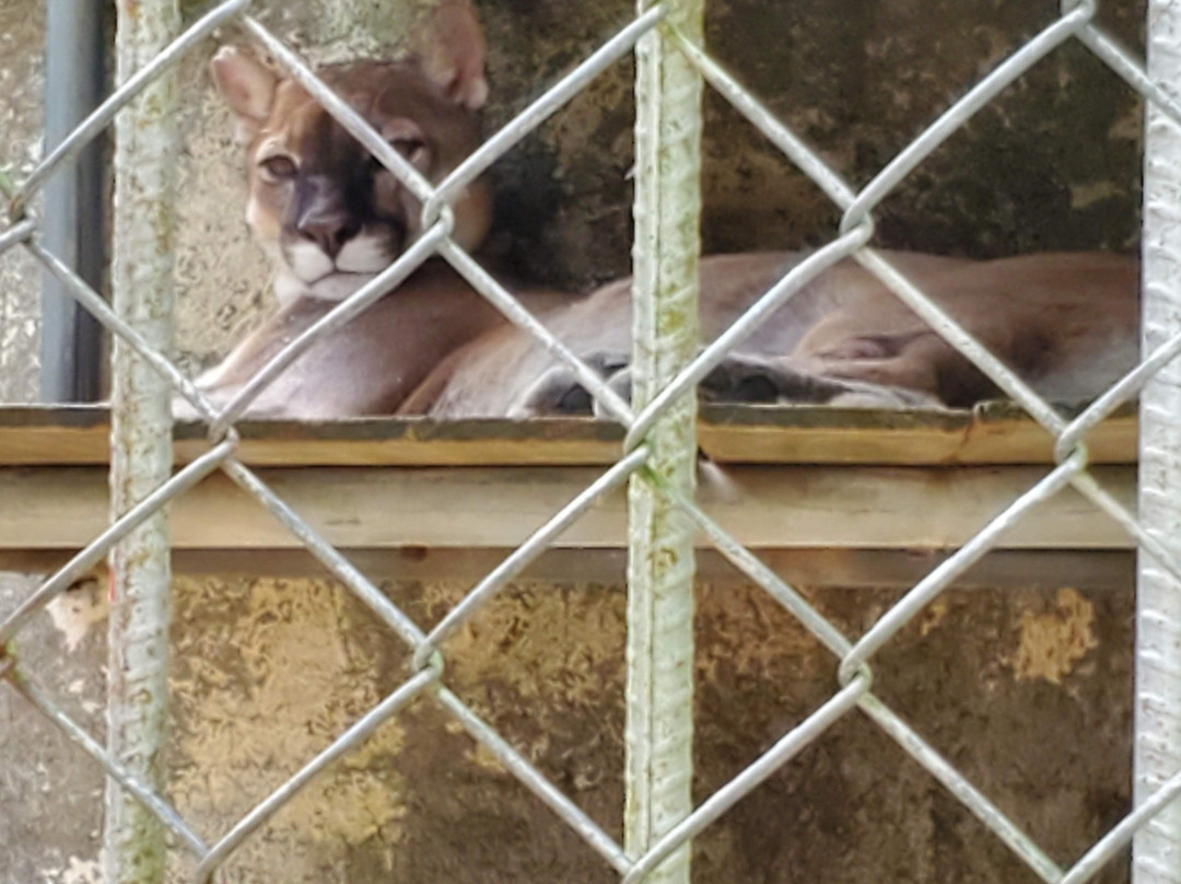 La Marina Wildlife Rescue Center景点图片