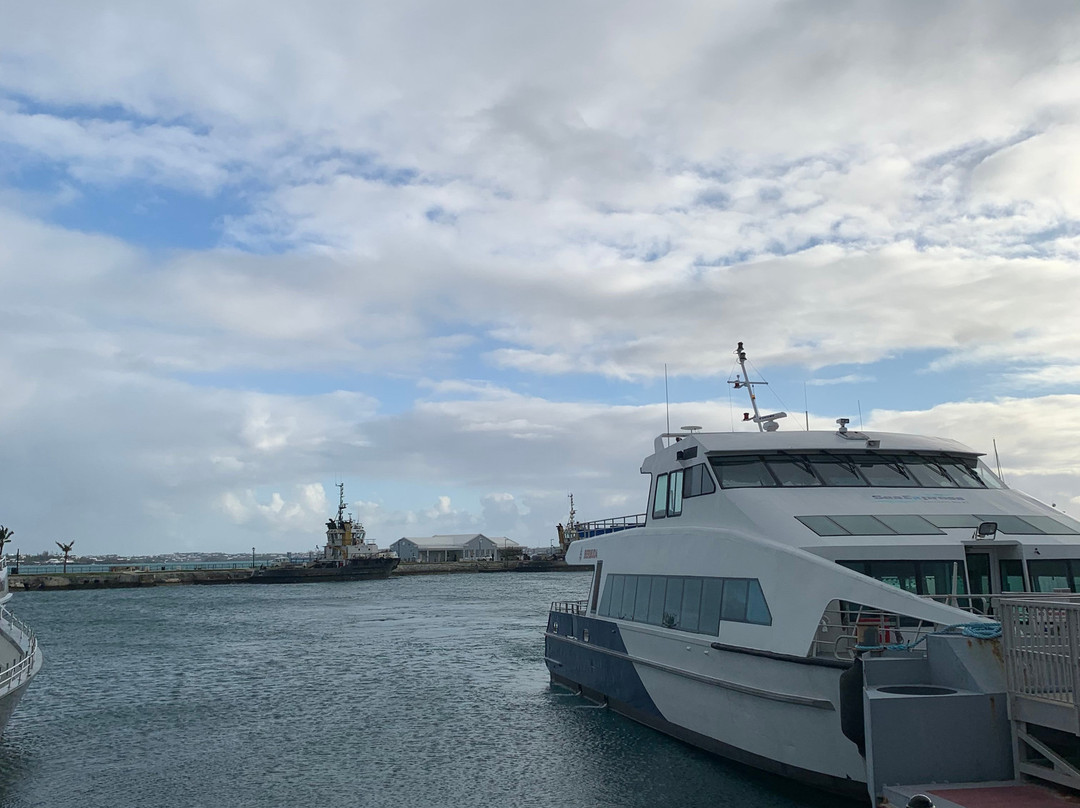 Sea Express Ferry Service-汉密尔顿必去景点