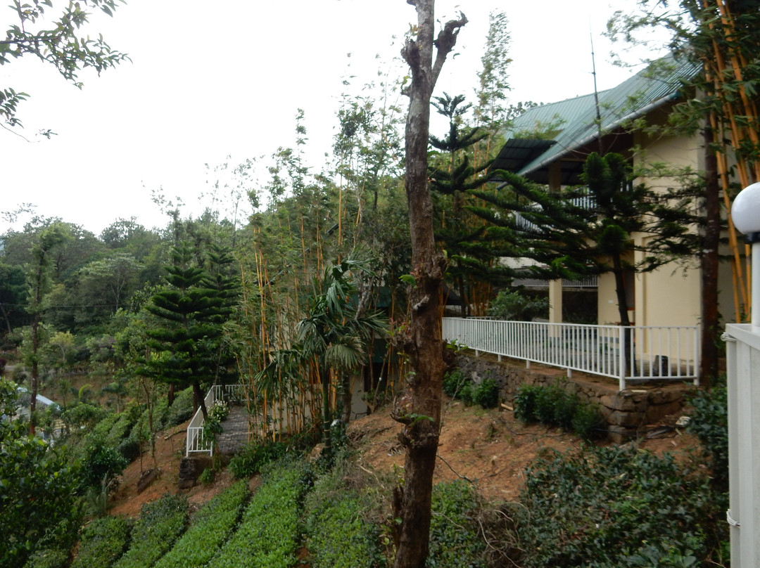 Winter Vale Green Stay主图