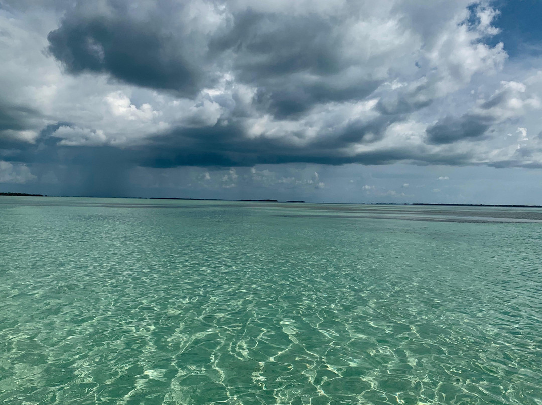 Blown Away Yacht Charters, LLC-基韦斯特必去景点