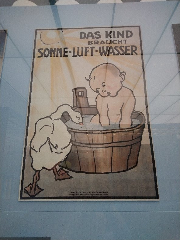 Deutsches Hygiene-Museum Dresden景点图片