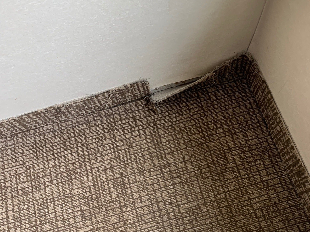 Spark by Hilton Denver East I 70主图