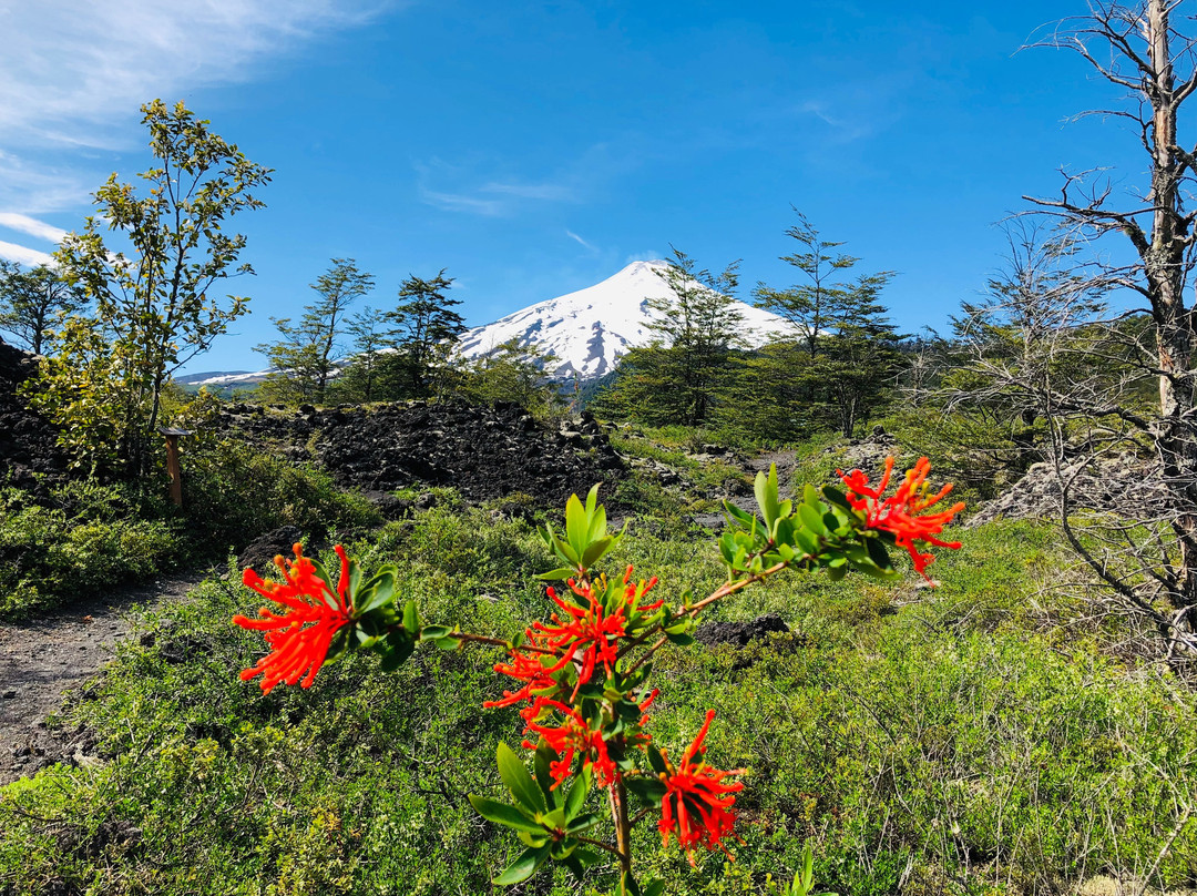 Villarrica Tour-比亚里卡必去景点