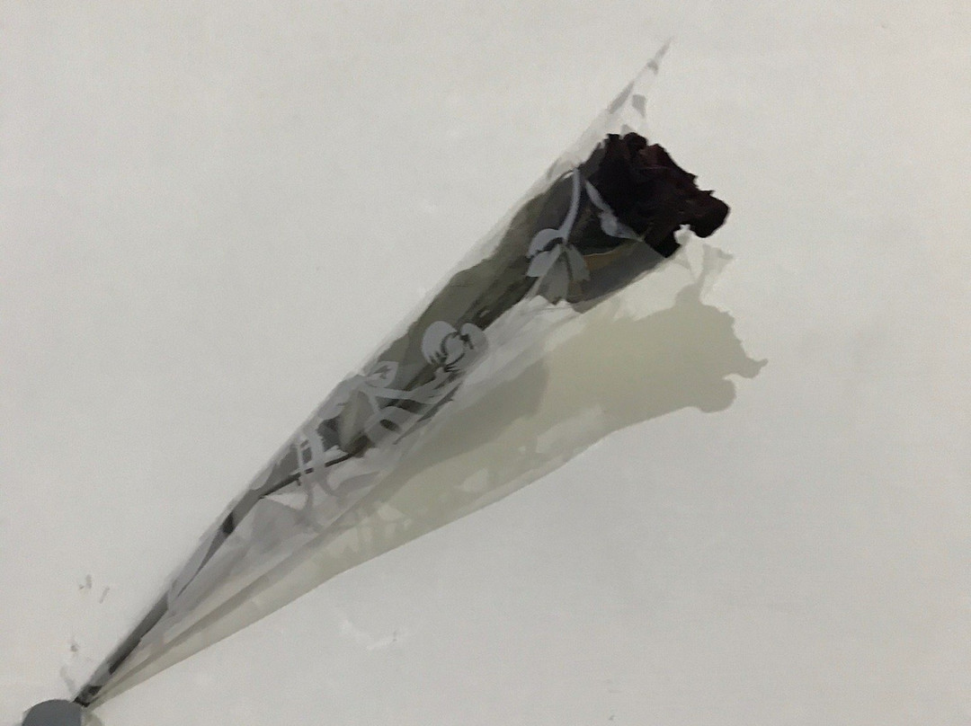 Holiday Home Palampur主图