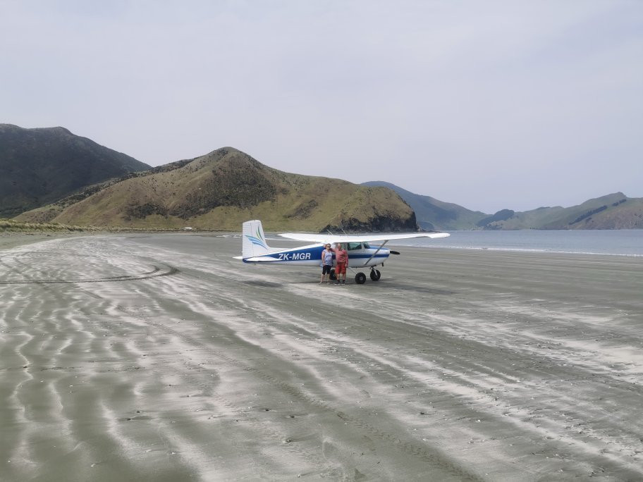 Pelorus Air景点图片