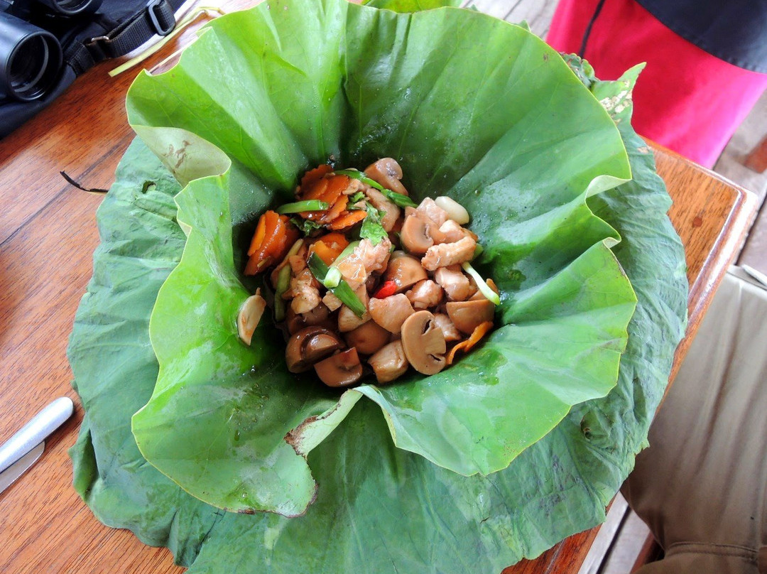 Kratie Province旅游攻略图片