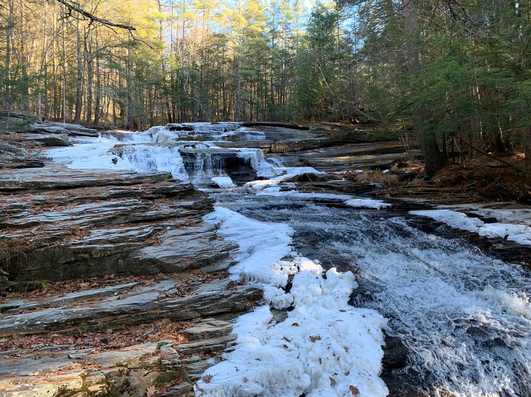 Umapchene Falls Park景点图片