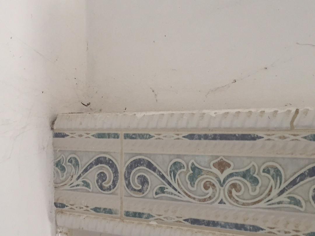 Complejo Don Juan主图