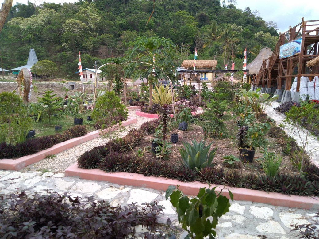 Lapale Hills景点图片