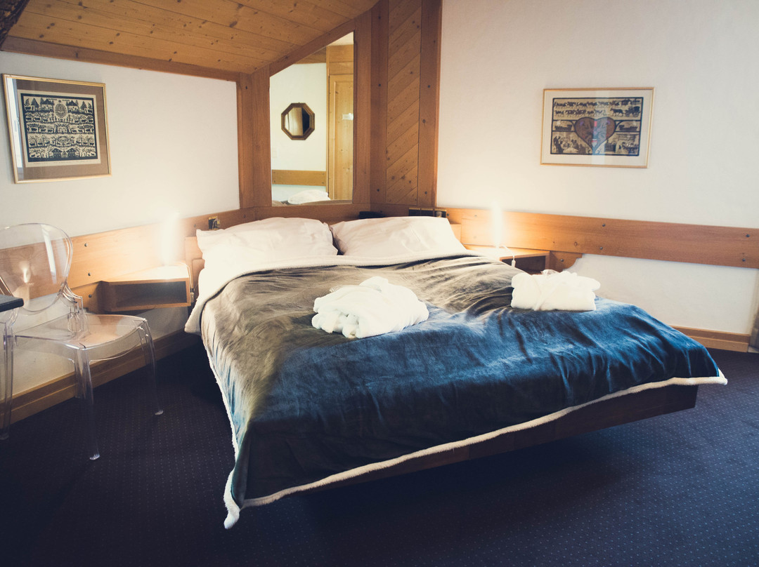 Résidence Hôtelière Le Sapin主图