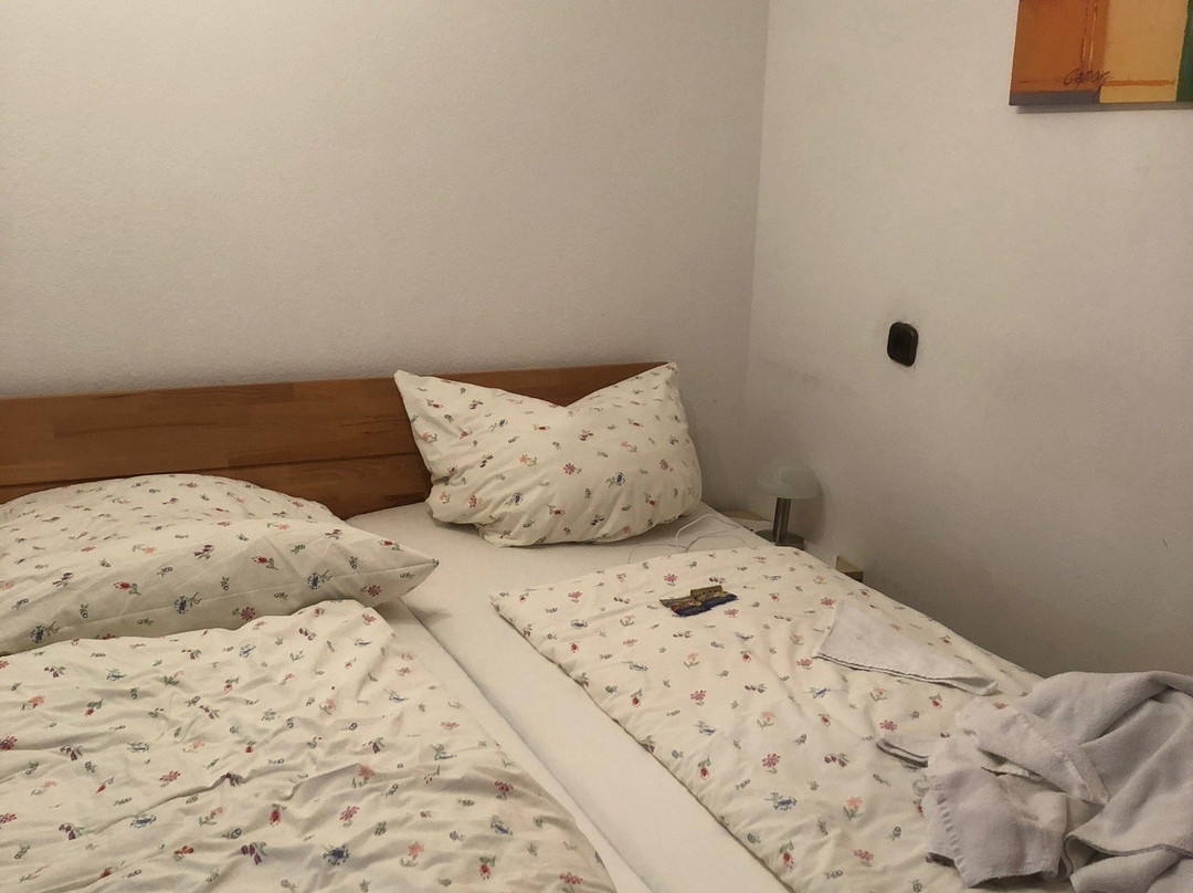 Landgasthof zum Bruckenwirt主图