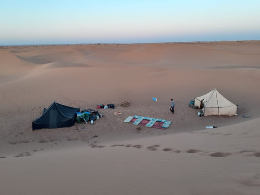 Sahara Surprise-迈哈米德必去景点