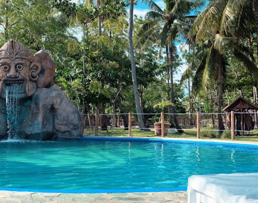 Whispering Palms Island Resort主图