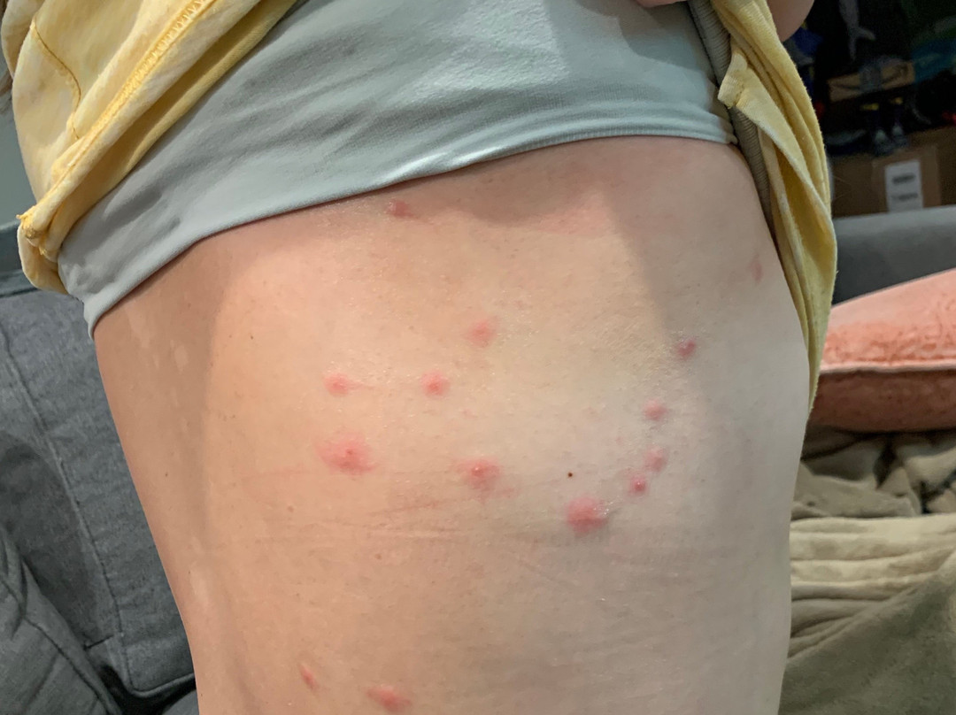 帕萨迪纳威斯丁酒店主图