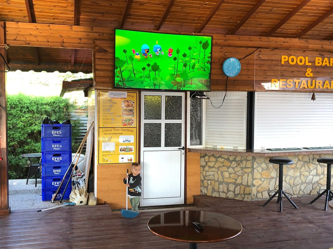 Citrus Tree Gardens主图