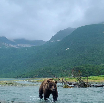 Andrews Airways-Kodiak必去景点