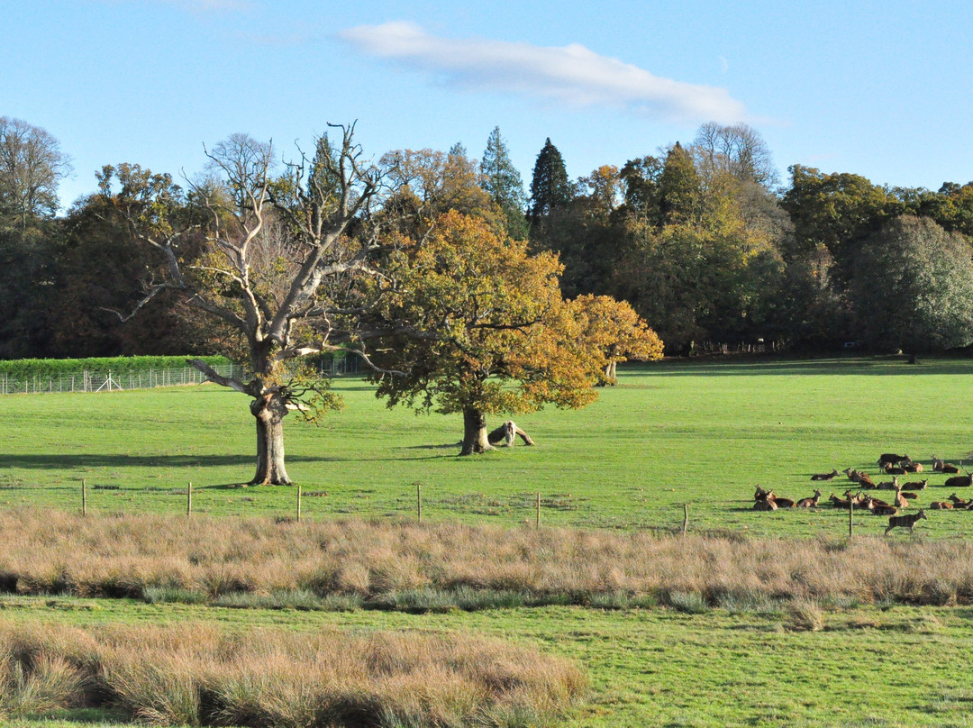 阿可仑伯利庄园酒店主图