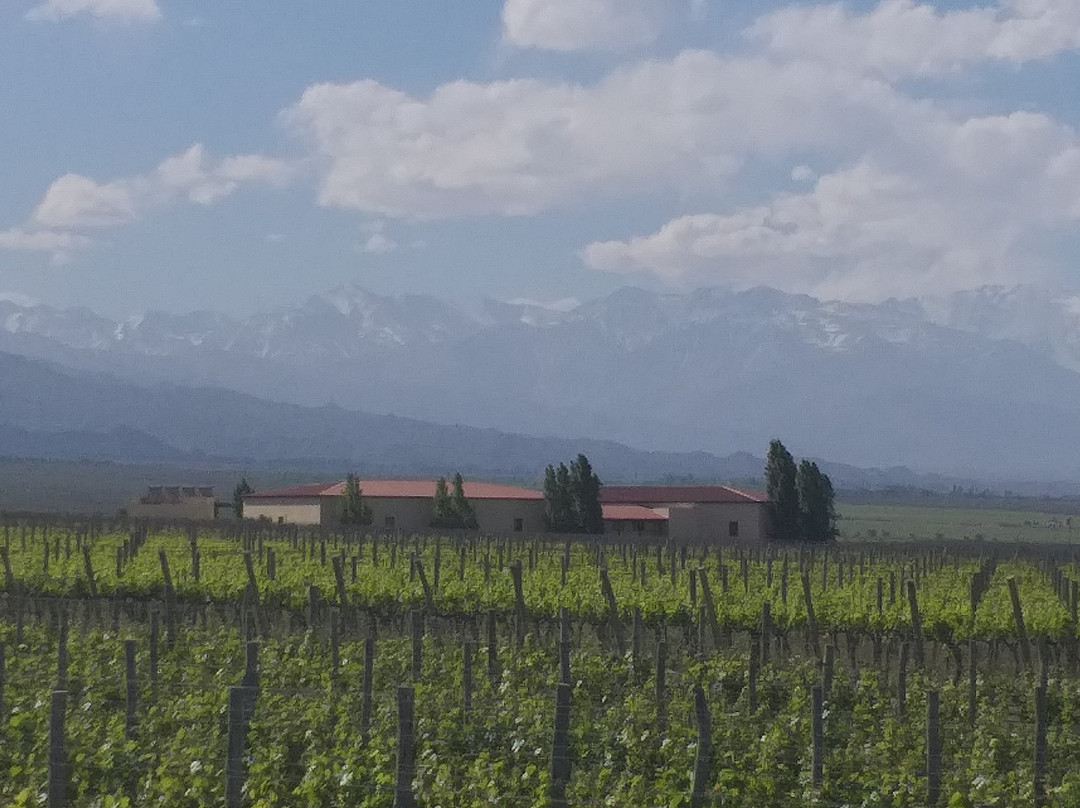 Cuvelier Los Andes景点图片