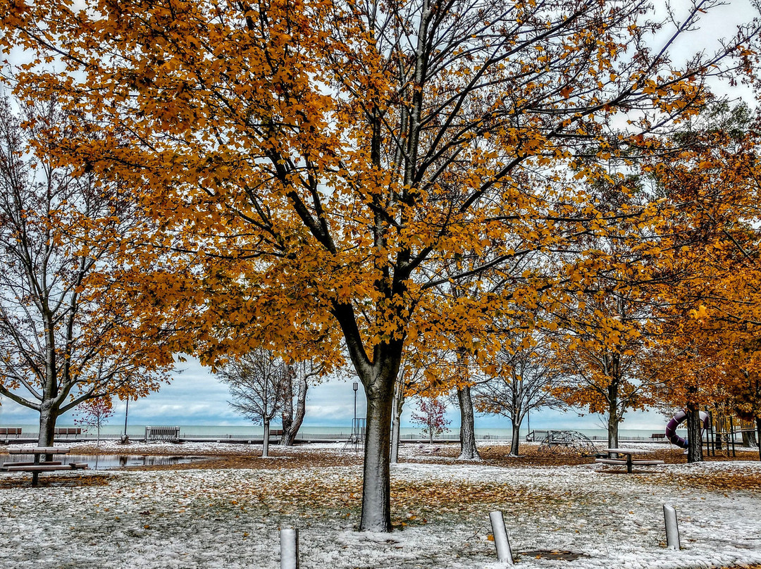 Oscoda Beach Park景点图片