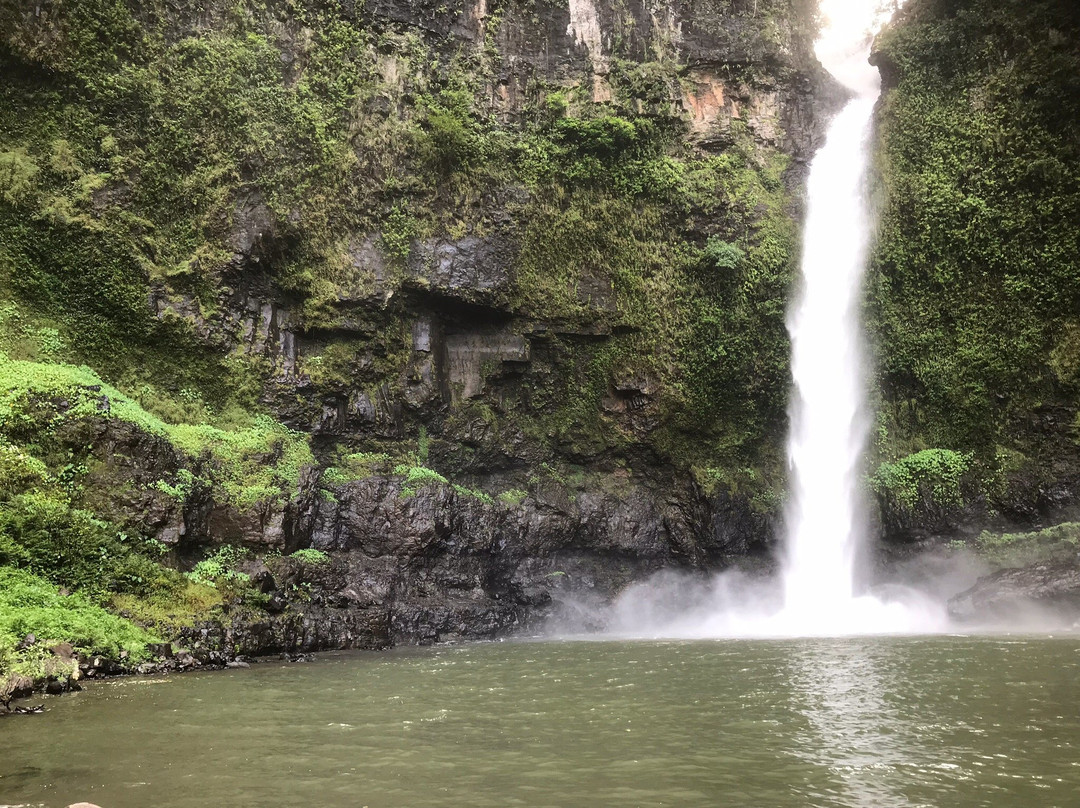 Nandroya Falls- 阿瑟顿必去景点