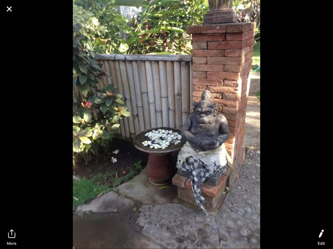 Yuda Menjangan Homestay主图