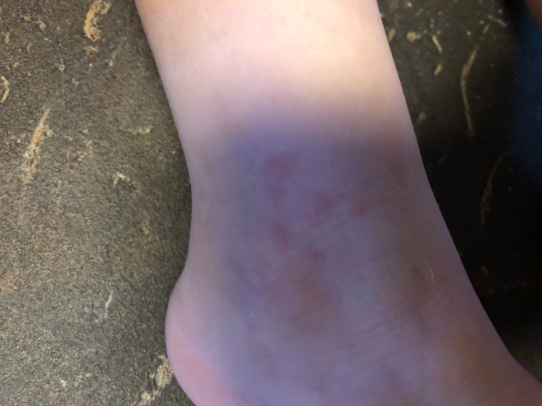 快捷假日费尔班克斯套房酒店主图