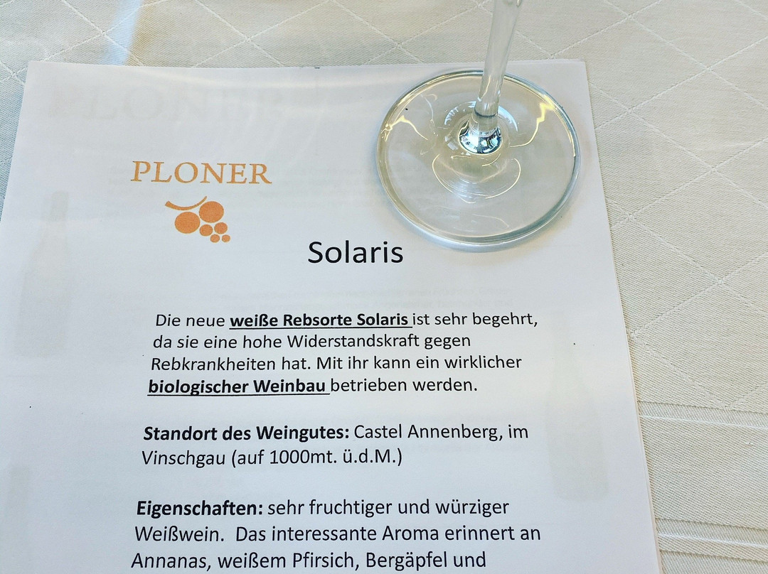 Weingut Plonerhof景点图片