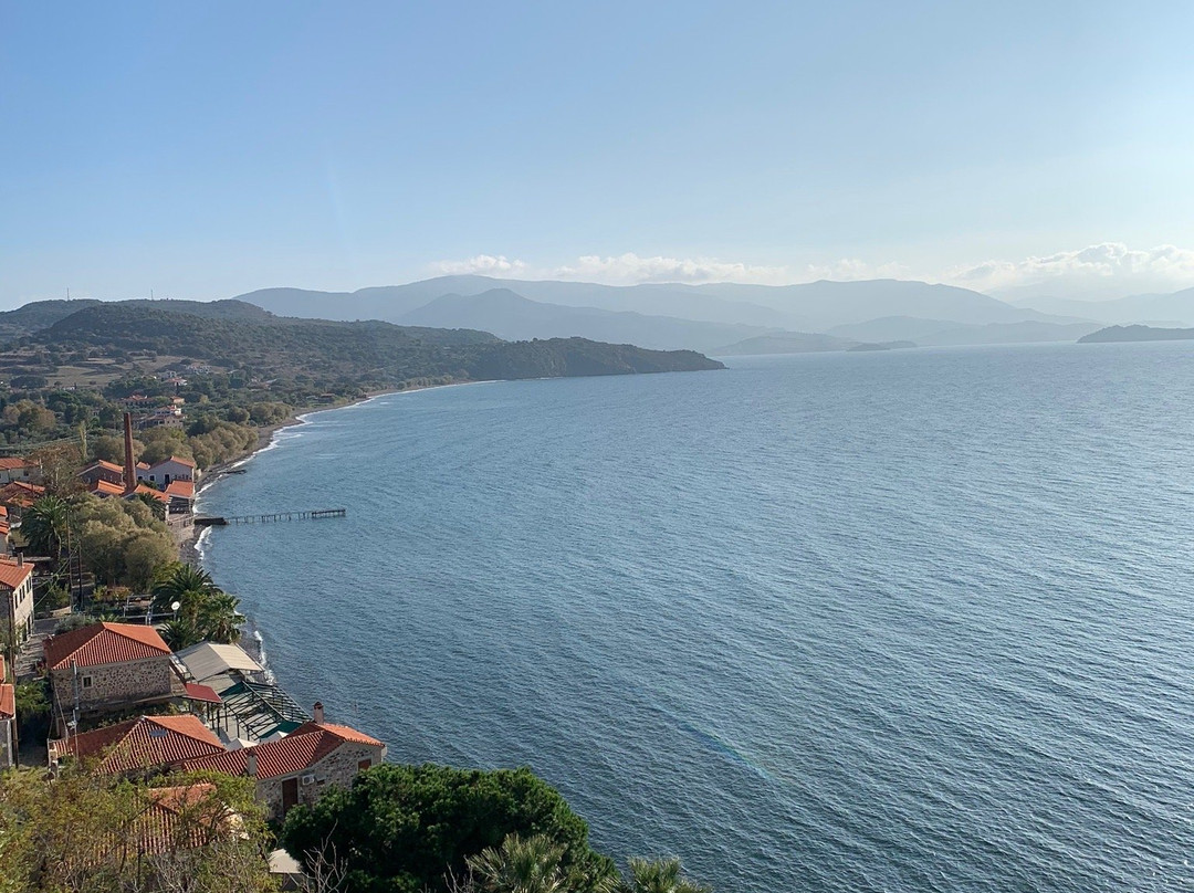 Lesvos Taxi Service-Petra必去景点