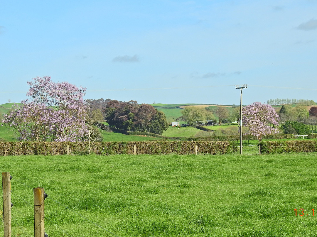 艺术屋家庭旅馆主图